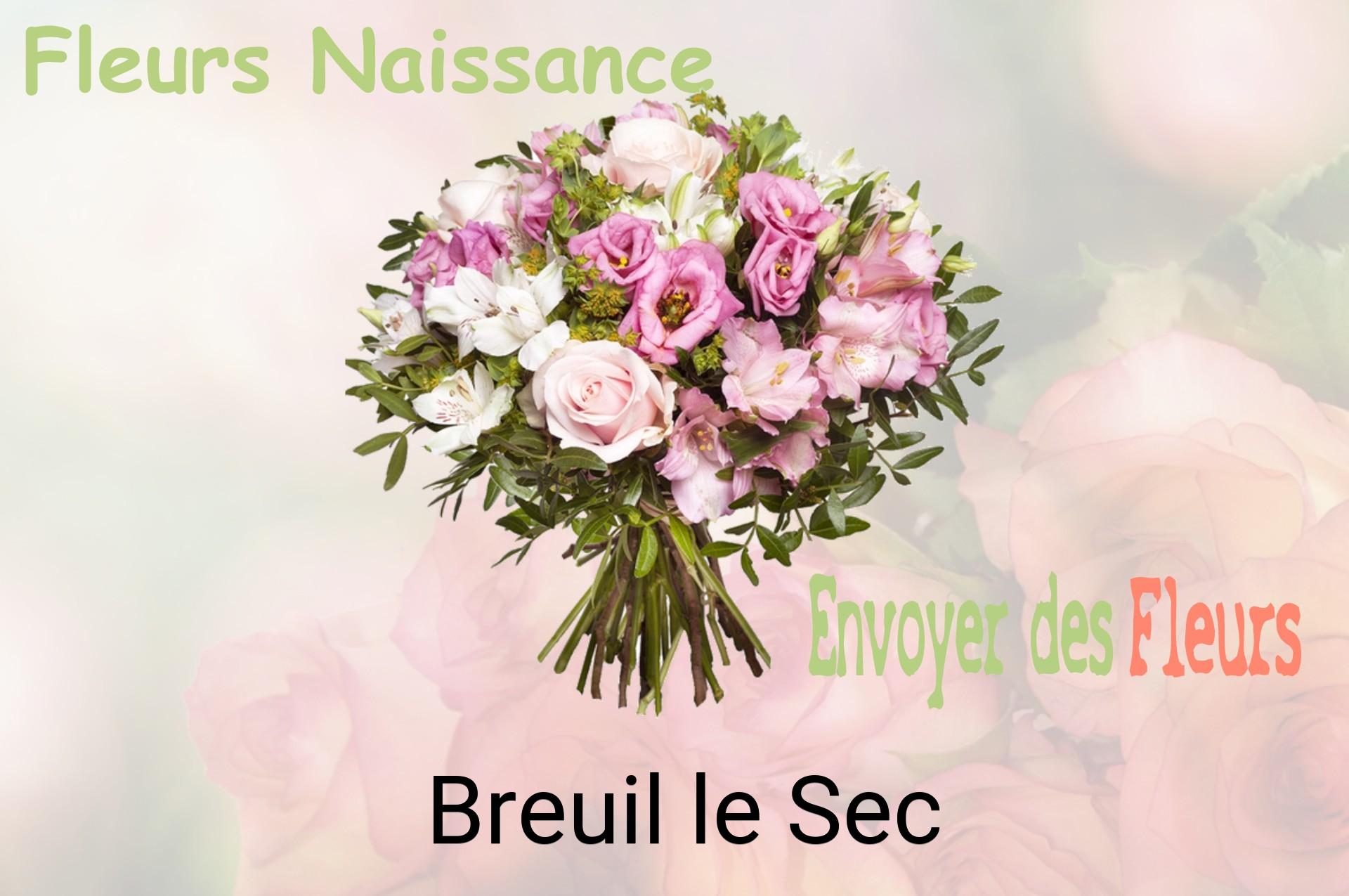 Bouquet de fleurs de naissance livré à Breuil-le-Sec