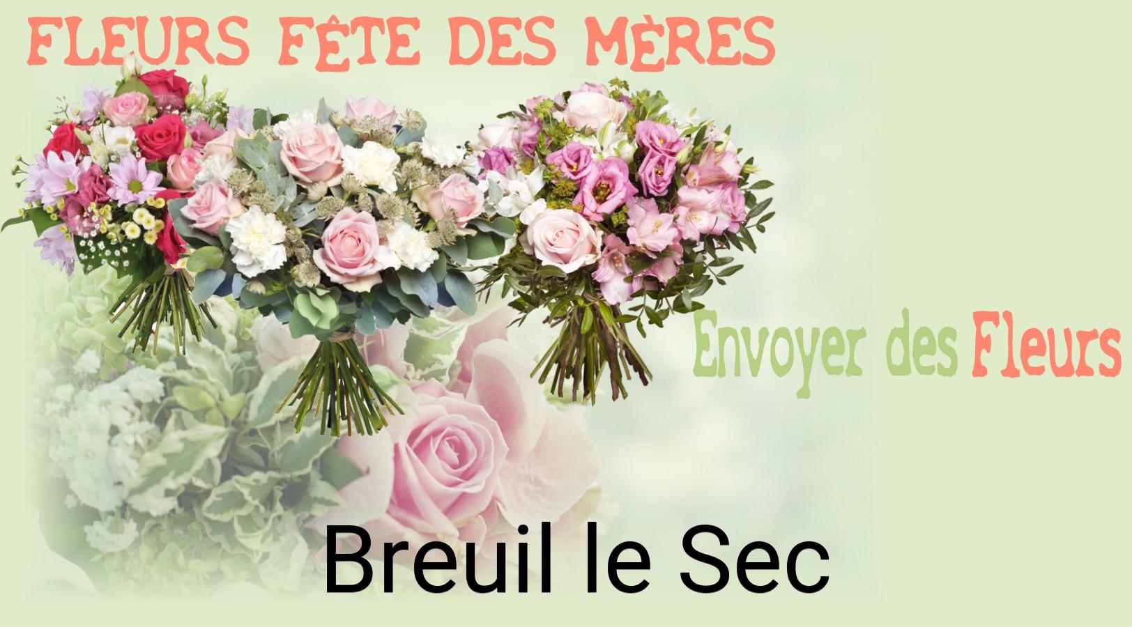 Bouquet de Fête des Mères livré à Breuil-le-Sec